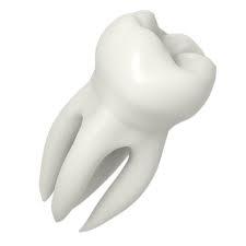 molar.jpg