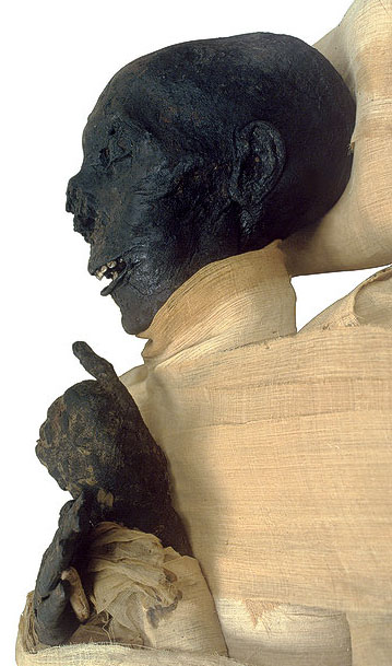 Mummy_of_Tuthmosis_the_Thirdh.jpg.10c07a