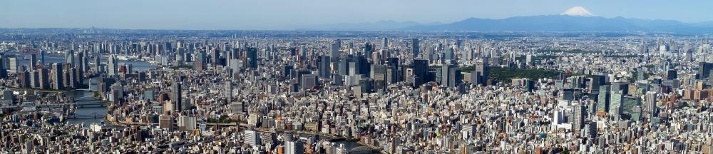 Tokyo_from_the_top_of_the_SkyTree_(cropped).JPG