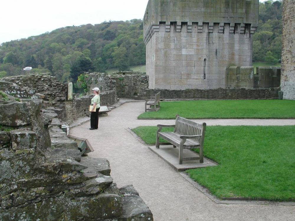 Conwy Castle (5).jpg