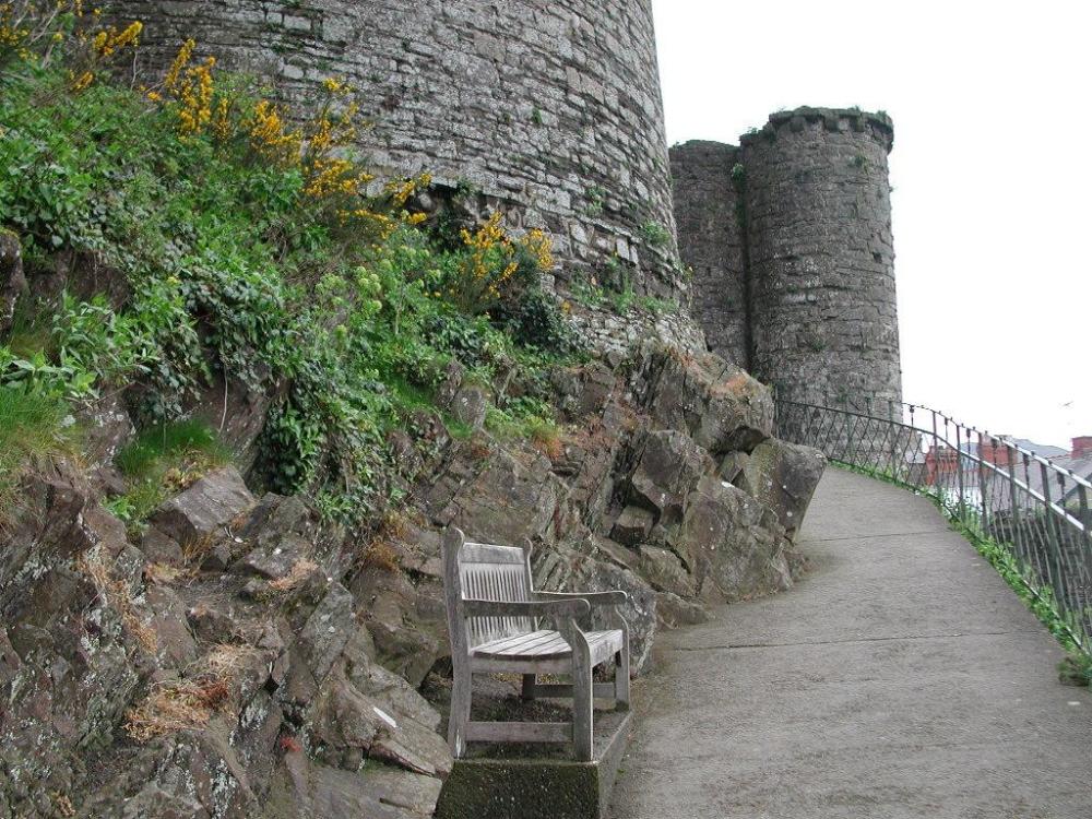 Conwy Castle (8).jpg