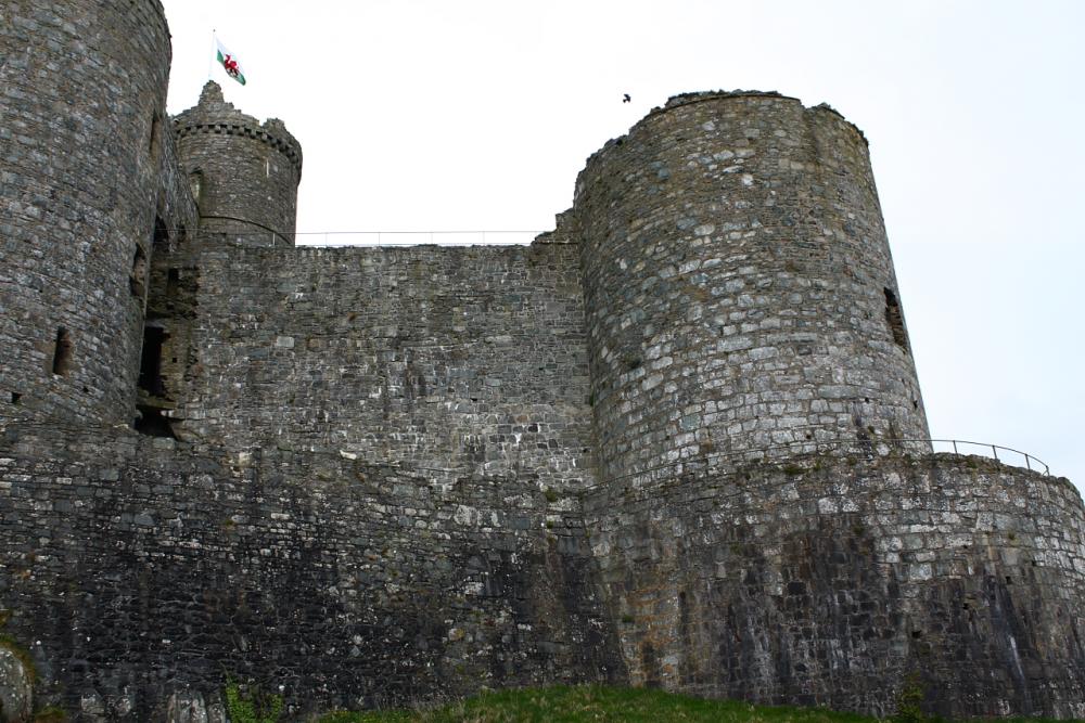 harlech25.jpg