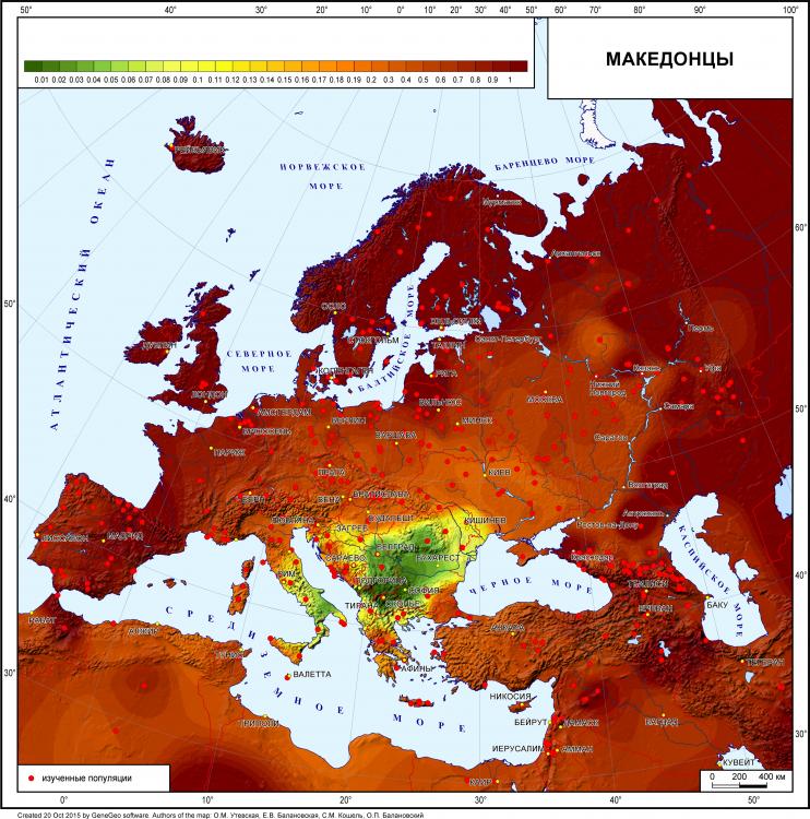 днкМакета.jpg