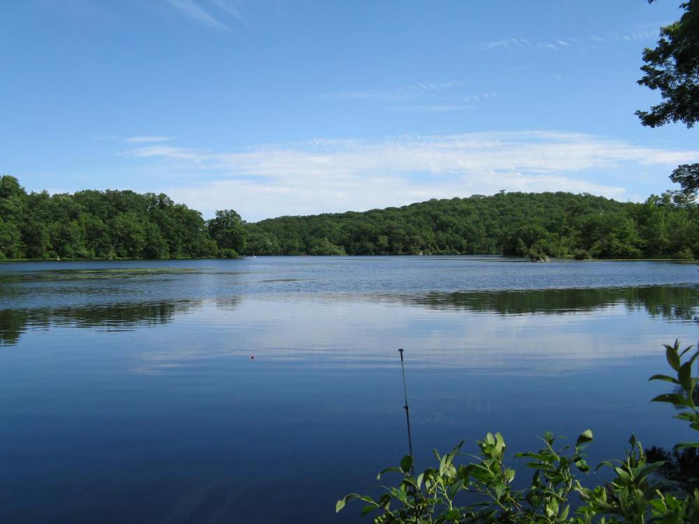 Lake.thumb.jpg.f80bd3de21752bcc2da630da3590c731.jpg