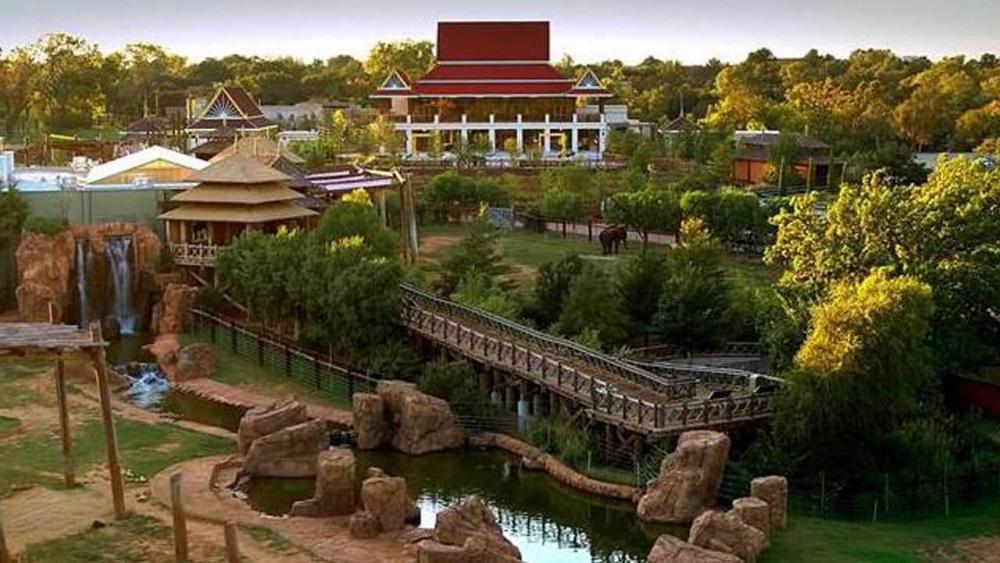 oklahoma-citys-zoo-habitat-expansion-nominated-for-best-zoo-award.1553723810000.thumb.jpeg.97be8defd39201c0c379db961de6e9a3.jpeg