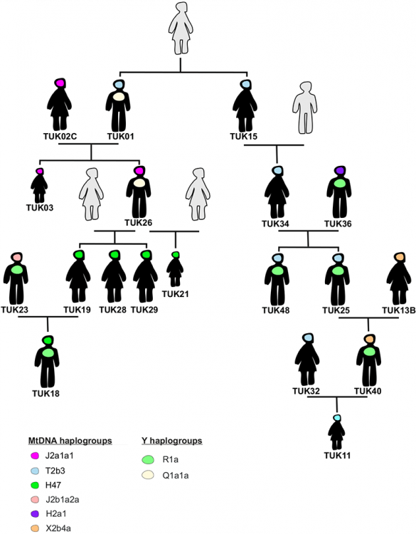 xiongnu-family-genealogy.thumb.png.b77ccac4c6ed265ecdf1fc09c0ada886.png