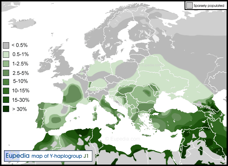 Haplogroup-J1.png.1a98a79596938a0500198508e40b2f8c.png