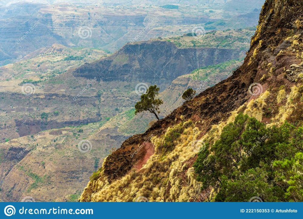 ethiopian-landscape-ethiopia-africa-wilderness-beautiful-highland-valley-afar-region-near-city-mekelle-222150353.jpg