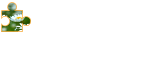 image.png.0f5d698e2950e133d84cca6fc3df1fdc.png